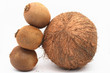 3 kiwi like big coco