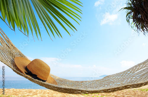 Foto: among the palms among the palms