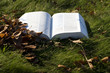 Open book on grass