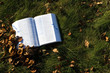 Open book on grass