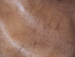 tan leather