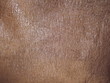 ltan leather