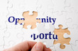 Opportunity Puzzle