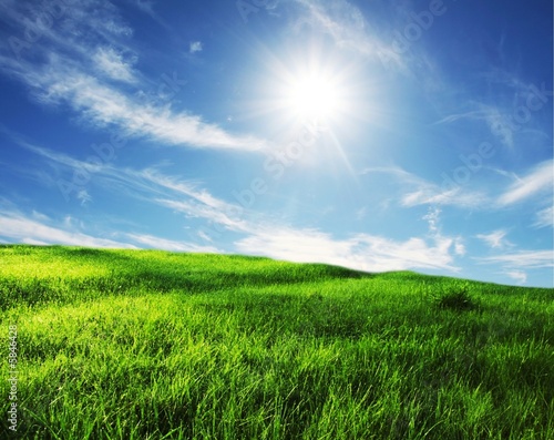 Field And Sky