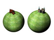 planetas de cesped