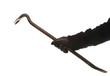 thief or burglar with crowbar and leather glove