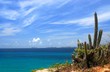 view on los frailes, venezuela, with cactus