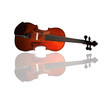 Violon