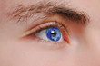 regard
