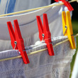 Foto: Wäscheklammer Wäscheklammer