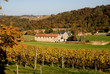 Home and vineyard in Aquitane France