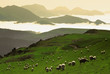 The col de la pierre st martin in the pyrenees-atlantique