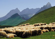 The col d'aubisque in the pyrenees-atlantique aquitaine