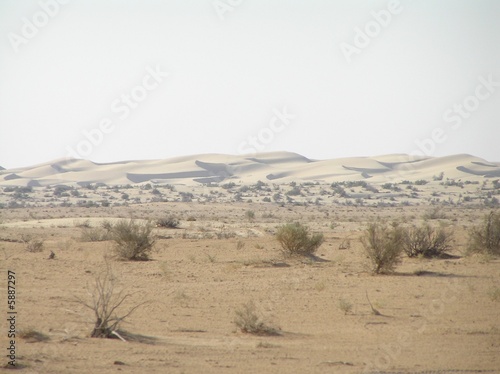 Photo: Dünen Dünen