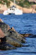 provence mer méditerranée côte d'azur port cannes esterel