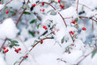 sfondo invernale