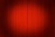 Theater curtains with a spotlight.