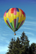Hot air balloon above the trees
