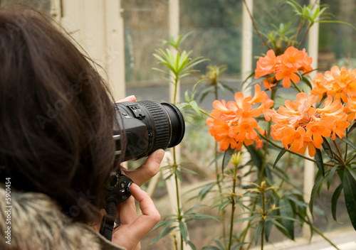 Photo: Photographer at Work Photographer at Work