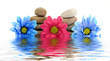 therapy stones with flowers isolated
