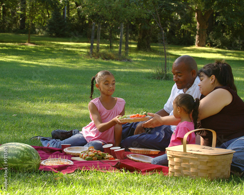 Photo: Family Picnic Family Picnic