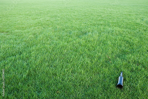 Photo: bottle in the grass bottle in the grass