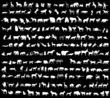 lots of animals vectors