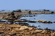 The rocky coast of the cote de granit rose, brittany.