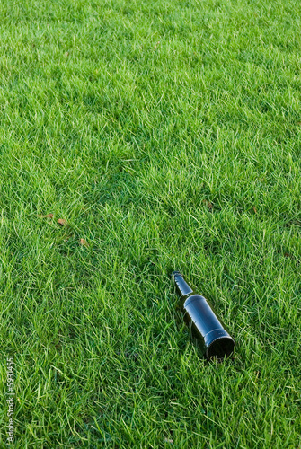 Photo: bottle in the grass II bottle in the grass II