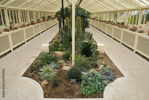 Photo: cacti glasshouse cacti glasshouse