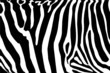 Zoom na zebrę – afrykańska inspiracja
