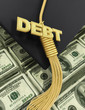 3D College Education Debt  Concept