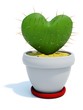 Cactus as heart isolated on white
