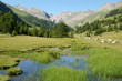  	le lauzanier