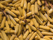 Corn background
