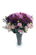 Colorful Flowers