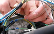 electricien