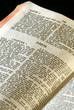 holy bible open to the book of amos in the old testament holy bible open to the book of amos in the old testament