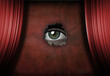 Eye