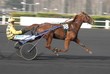 course hippique