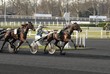 course hippique