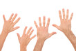human hands isolated on white - team concept