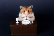 Hamster sitzt mit Besteck am Tisch und isst