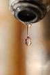 Wassertropfen
