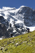 vtt freeride