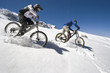 vtt neige