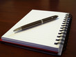 Open flat notebook with pen on top of it