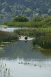kayak_6