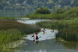 kayak_5