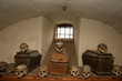 Skulls 
